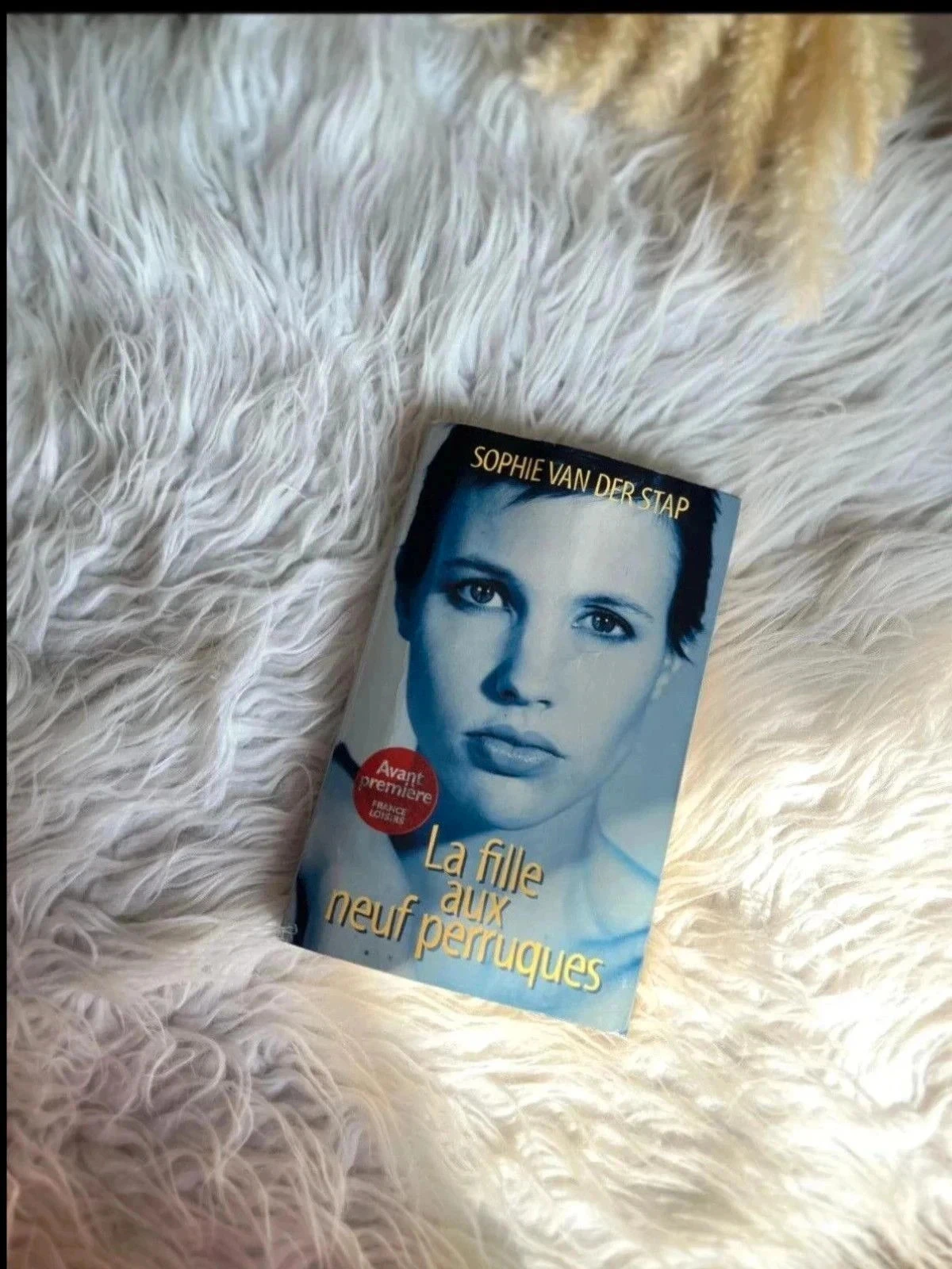 Livre La fille aux neufs perruques Sophie Van Der Stap